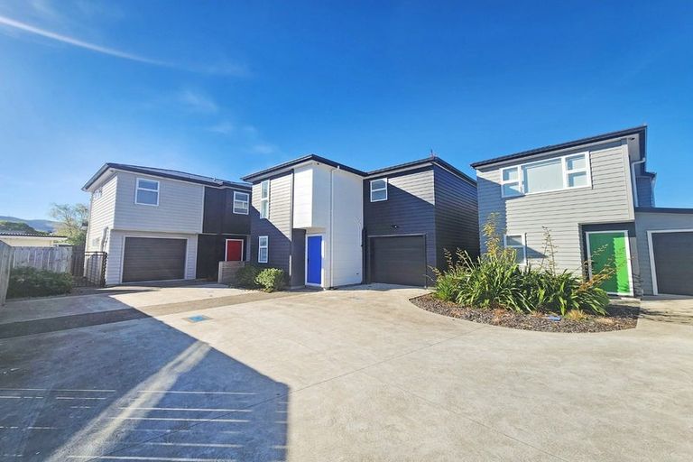 Photo of property in 63b Lincoln Avenue, Epuni, Lower Hutt, 5011