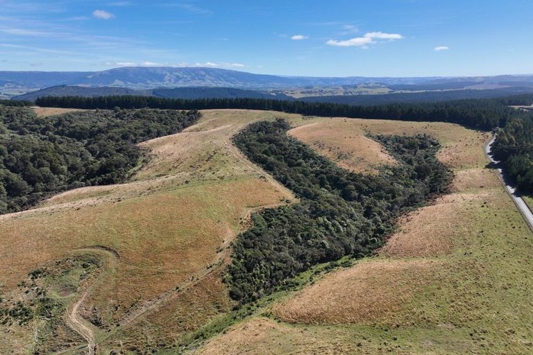 Photo of property in 205 Otokia-kuri Bush Road East, Kuri Bush, Dunedin, 9091