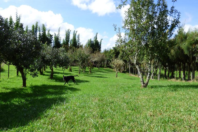 Photo of property in 365 Pungaere Road, Waipapa, Kerikeri, 0295