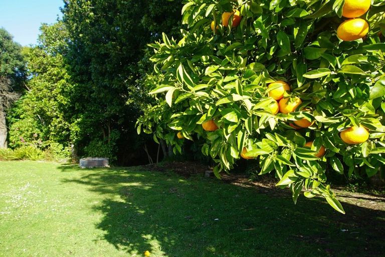 Photo of property in 10 Grant Road, Whataupoko, Gisborne, 4010