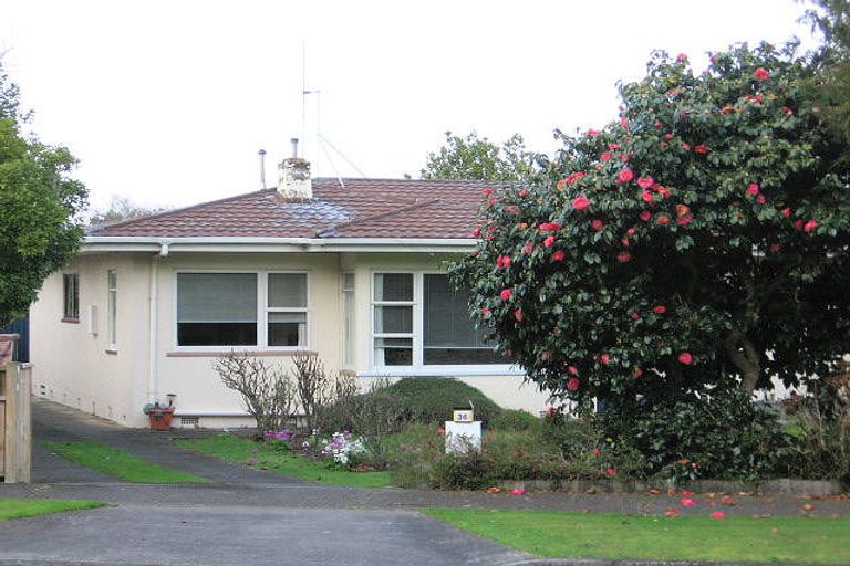 Photo of property in 36 East Street, Terrace End, Palmerston North, 4410