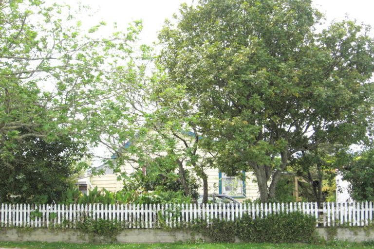 Photo of property in 50 Nelson Street, Opotiki, 3122