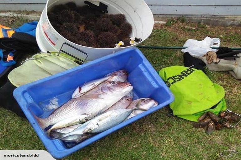 Photo of property in 4 Goodwin Parade, Ohope, 3121