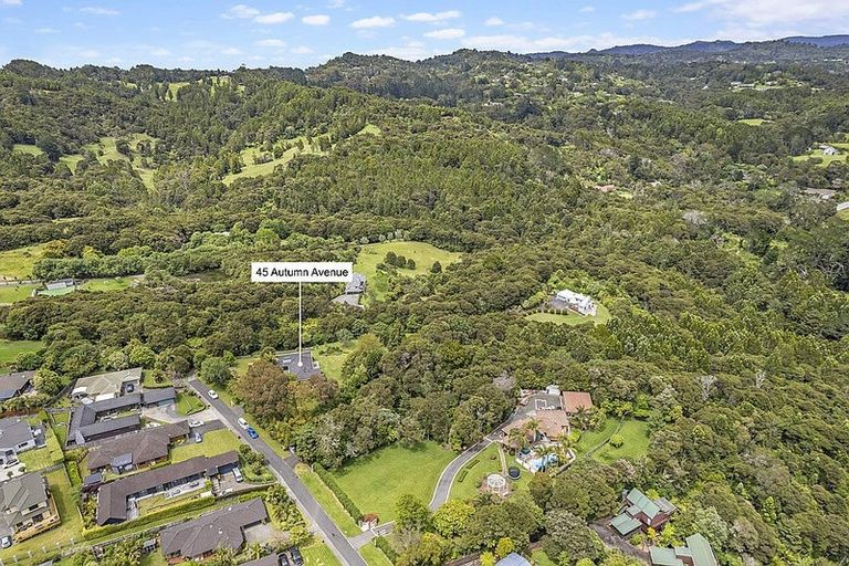 Photo of property in 45 Autumn Avenue, Glen Eden, Auckland, 0602