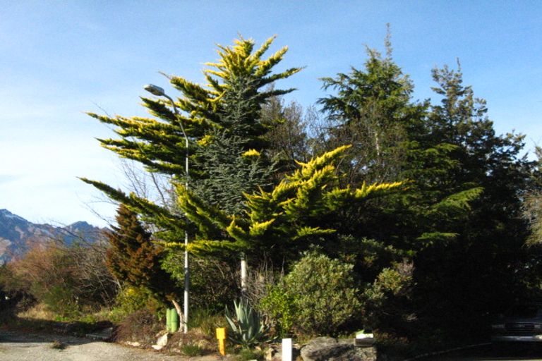 Photo of property in 24 Cedar Drive, Kelvin Heights, Queenstown, 9300