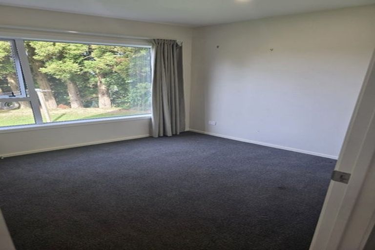 Photo of property in 344 Tukapa Street, Hurdon, New Plymouth, 4310