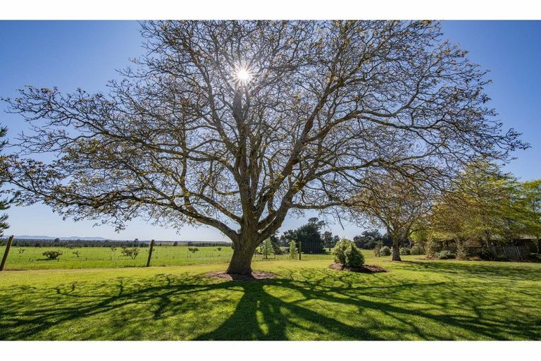 Photo of property in 2208 Old West Coast Road, Kirwee, Christchurch, 7671