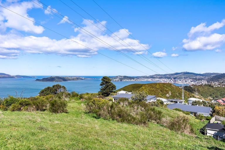 Photo of property in 51 Edgecombe Street, Newlands, Wellington, 6037