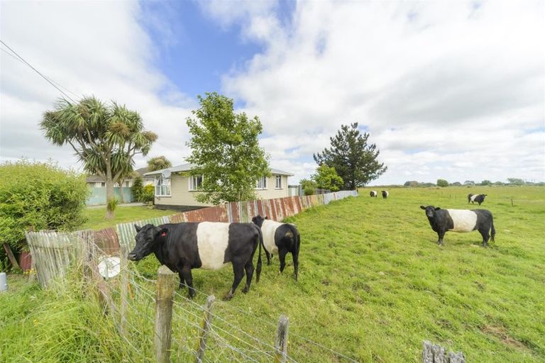 Photo of property in 26 Princess Street, Marton, 4710