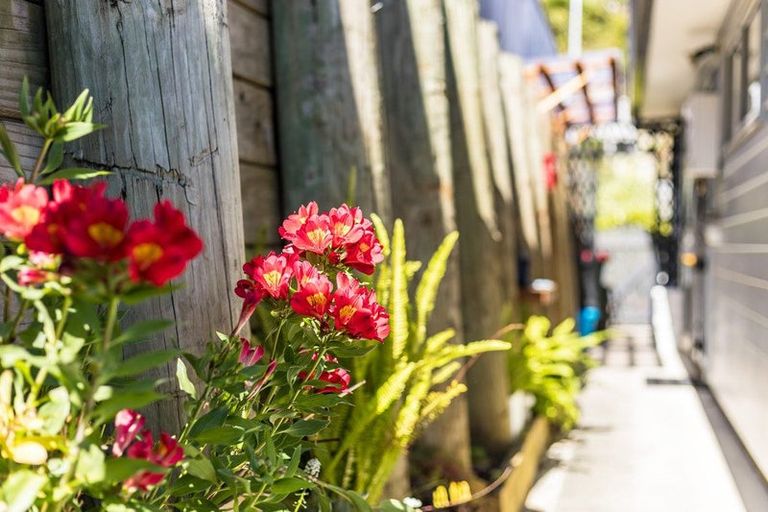 Photo of property in 19 Speldhurst Grove, Stokes Valley, Lower Hutt, 5019