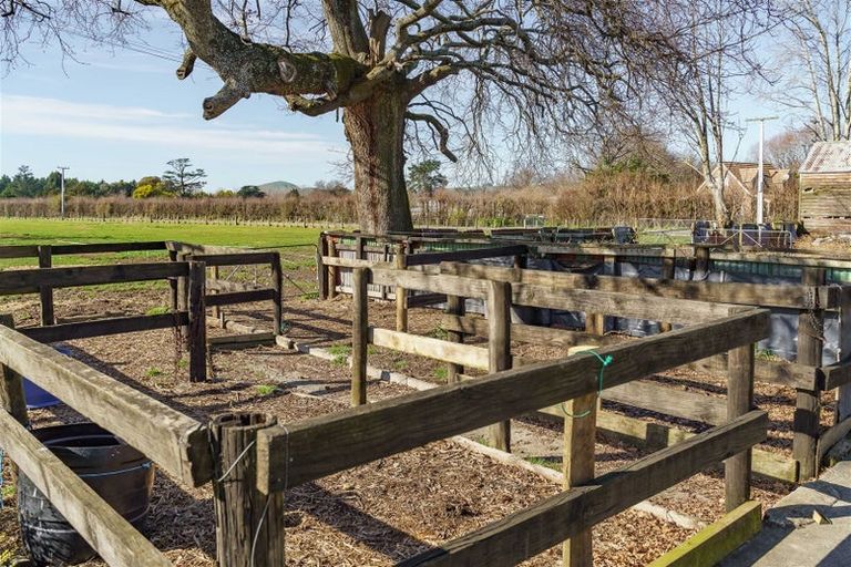 Photo of property in 28 Nursery Road, Homebush, Masterton, 5810