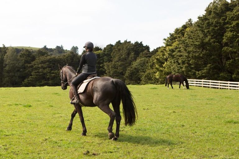 Photo of property in 1149c Whangaripo Valley Road, Whangaripo, Wellsford, 0972