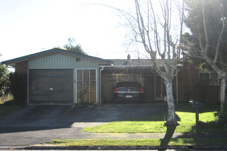 Photo of property in 17 Fernleigh Street, Chartwell, Hamilton, 3210