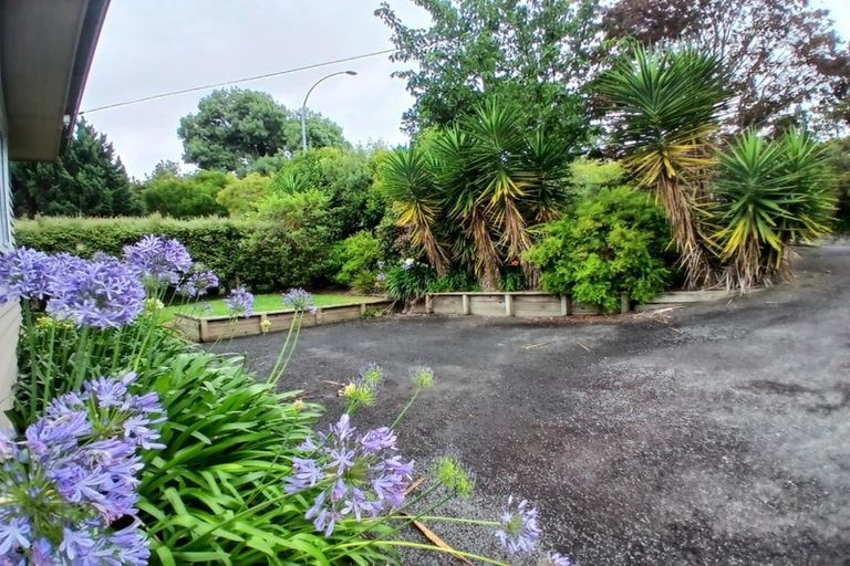 Photo of property in 4 Ohaupo Road, Hamilton Lake, Hamilton, 3204