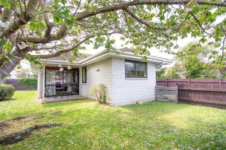 Photo of property in 183 Albert Street, Hokowhitu, Palmerston North, 4410