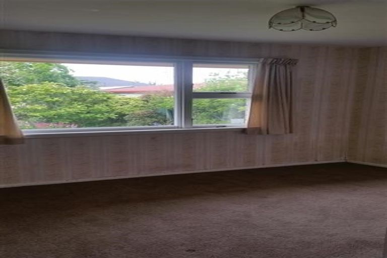 Photo of property in 41 Springbank Street, Bryndwr, Christchurch, 8053