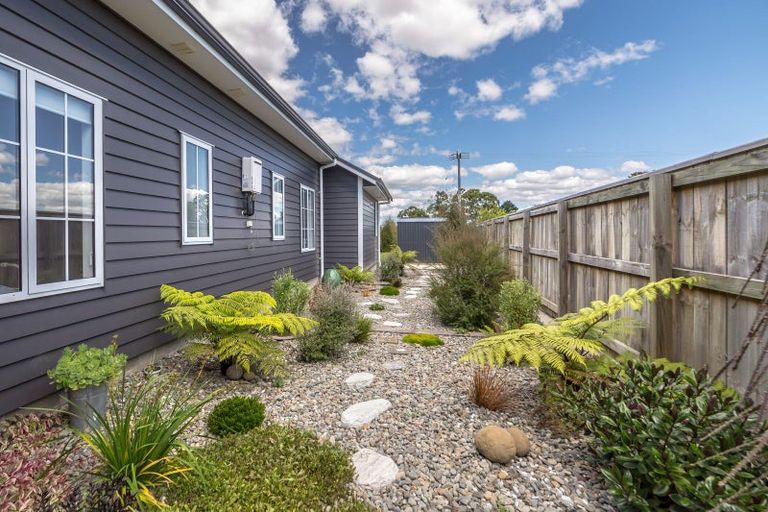 Photo of property in 21 Craigmillar Street, Solway, Masterton, 5810