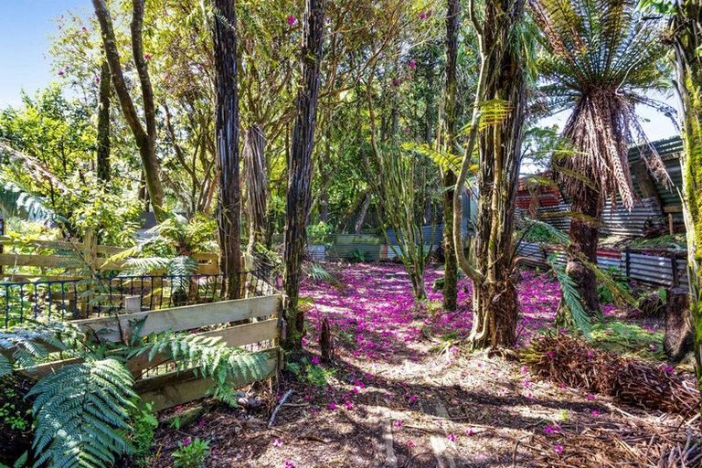 Photo of property in 17 Antonio Street, Stratford, 4332