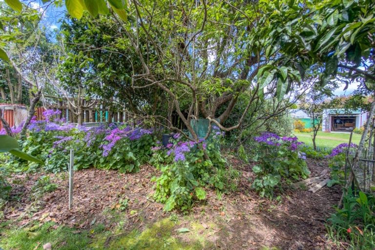 Photo of property in 48 Kon Tiki Road, Whiritoa, Whangamata, 3691