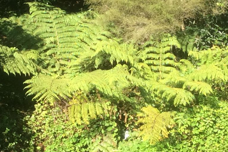 Photo of property in 88 Caie Road, Mangatawhiri, 2471