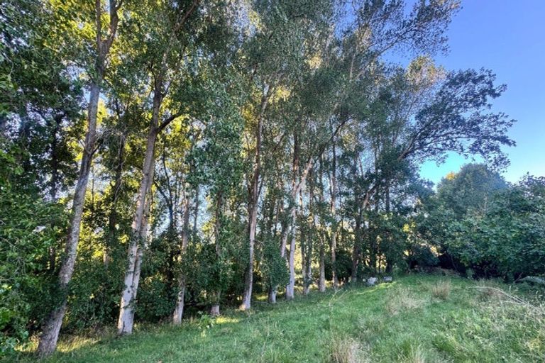 Photo of property in 70 Te Whanga Road, Levin, 5572