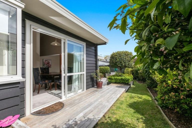 Photo of property in 97 Sixteenth Avenue, Tauranga South, Tauranga, 3112