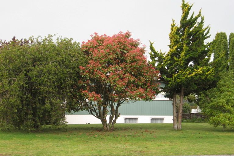 Photo of property in 44 Wheretia Street, Taupo, 3330