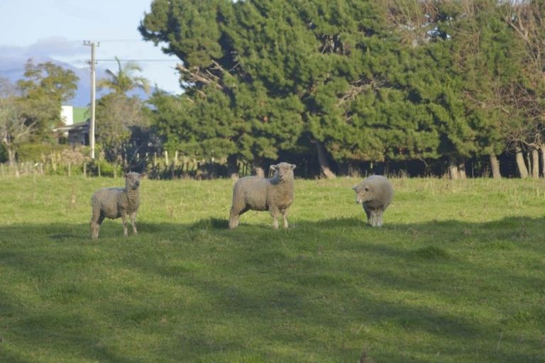 Photo of property in State Highway 1, Otaki, 5512