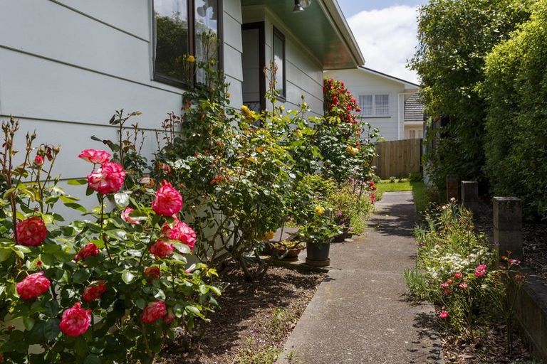 Photo of property in 56 Hyde Avenue, Richmond Heights, Taupo, 3330
