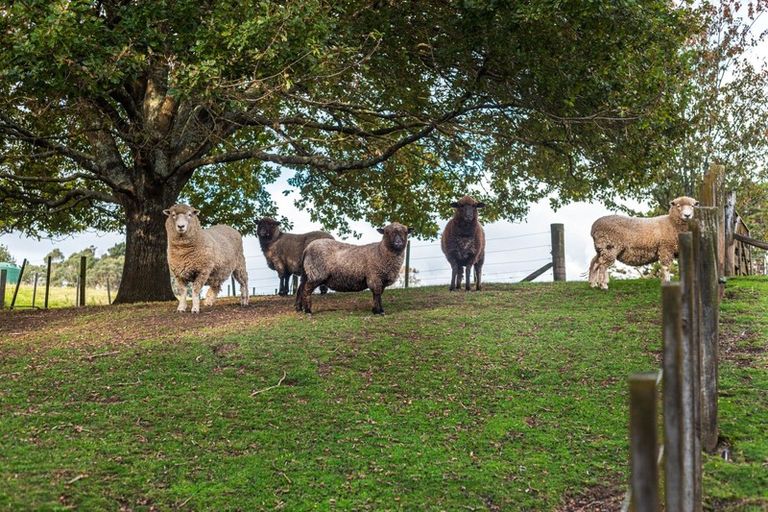 Photo of property in 72 Reid Road, Glenbrook, Waiuku, 2681