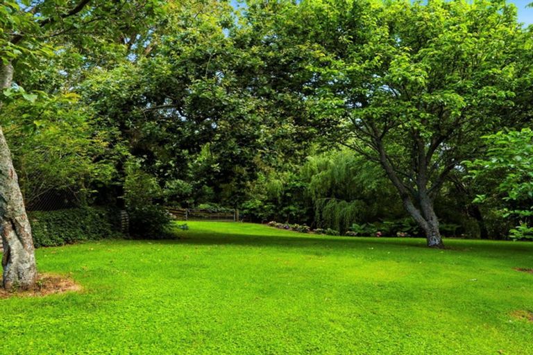 Photo of property in 41 Walmsley Road, Waihi, 3610