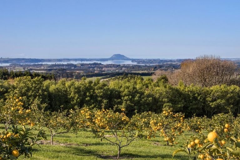 Photo of property in 261 Thompsons Track, Aongatete, Katikati, 3178