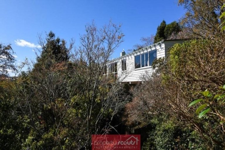 Photo of property in 61 Braeview Crescent, Maori Hill, Dunedin, 9010
