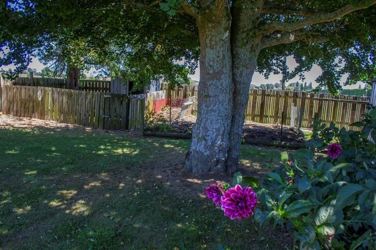Photo of property in 4021 State Highway 29, Te Poi, Matamata, 3473