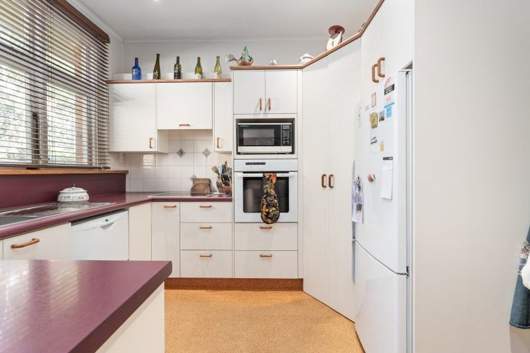 Photo of property in 4 Sylvan Street, Opoho, Dunedin, 9010