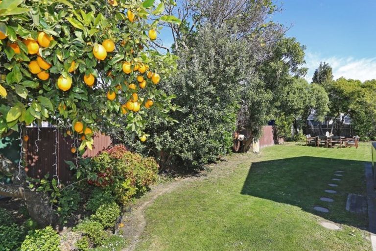 Photo of property in 209 Mayfair Avenue, Mayfair, Hastings, 4122