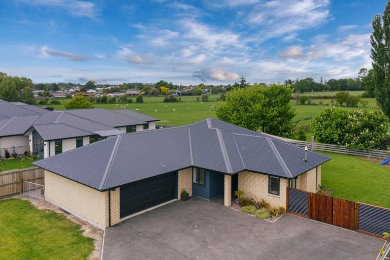 Photo of property in 29 Roxburgh Place, Tinwald, Ashburton, 7700