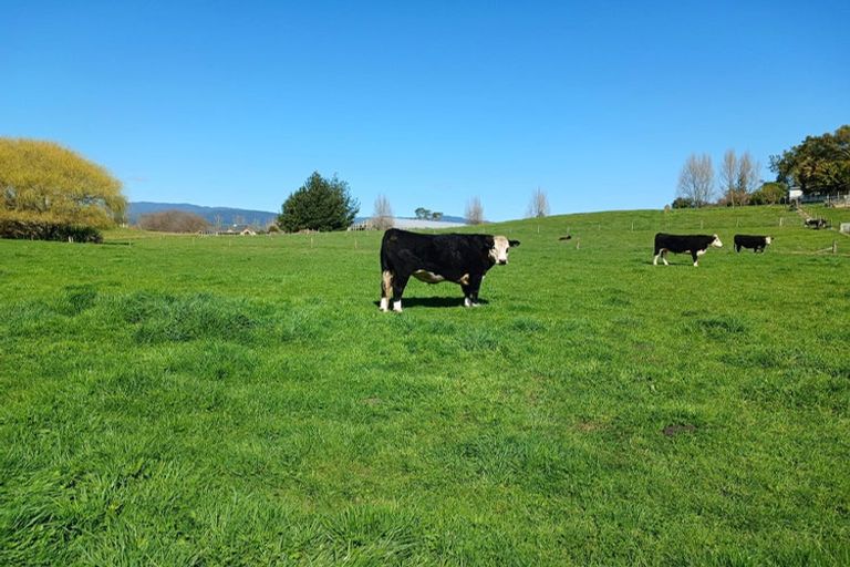 Photo of property in 44a Papaitonga Lake Road, Ohau, 5570