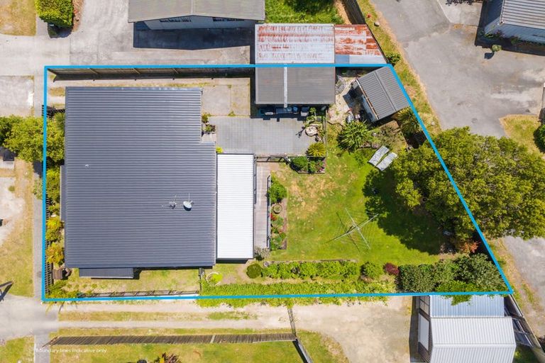 Photo of property in 74 Scannell Street, Taupo, 3330