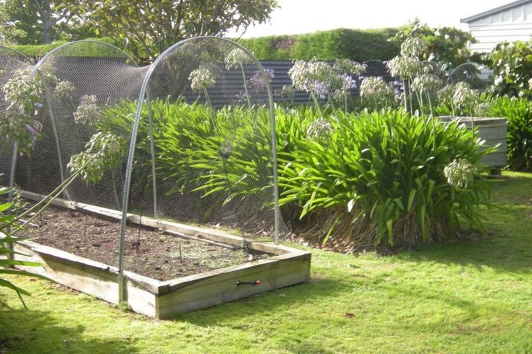 Photo of property in 46 Pennington Street, Leeston, 7632