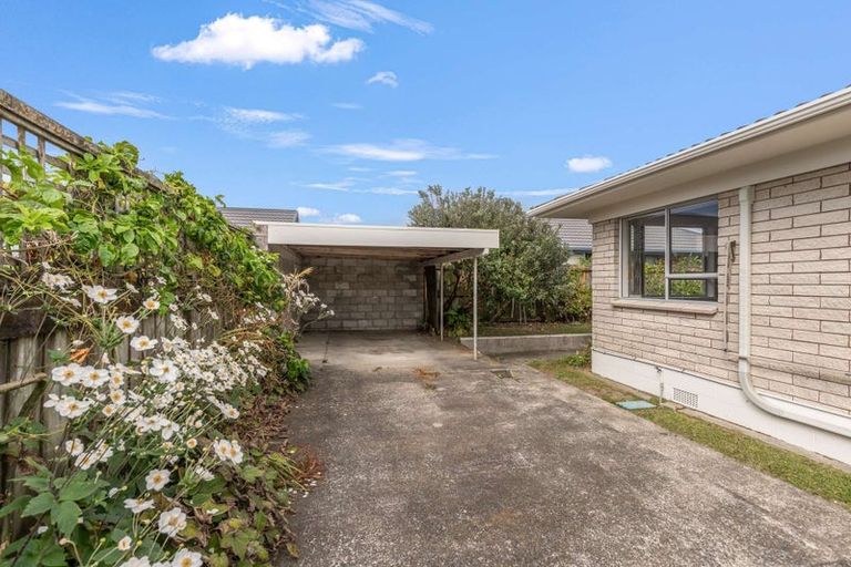 Photo of property in 33a James Street, Whakatane, 3120