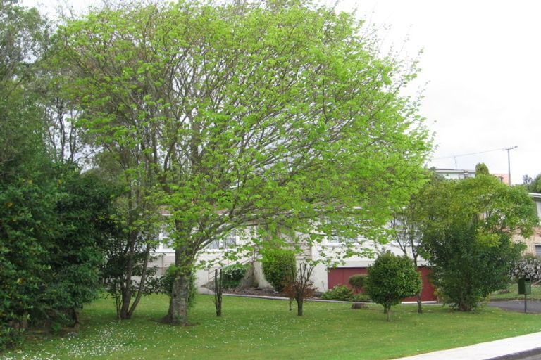 Photo of property in 7 Lewis Street, Paeroa, 3600