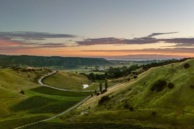 Photo of property in 170 Eskridge Drive, Eskdale, Napier, 4182