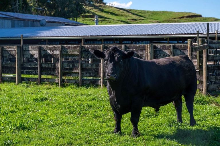 Photo of property in 250 Endean Road, Ngongotaha Valley, Rotorua, 3072