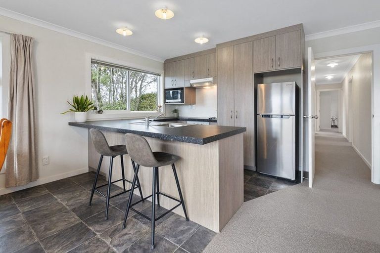 Photo of property in 3b Upham Terrace, Roslyn, Palmerston North, 4414