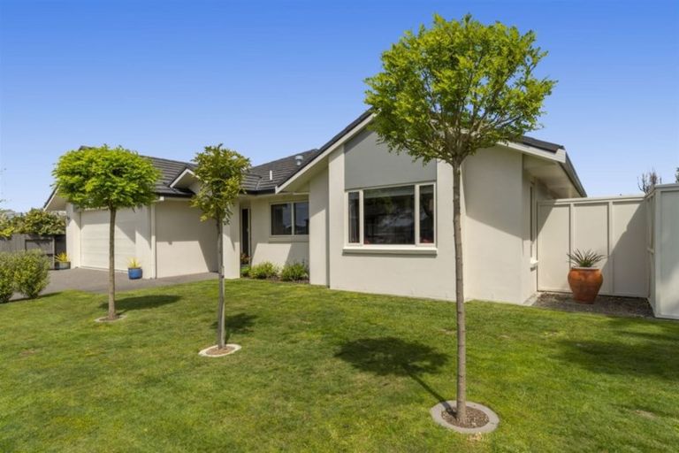 Photo of property in 144 Carmichael Road, Bethlehem, Tauranga, 3110