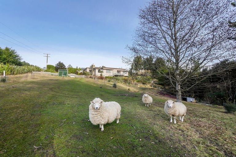 Photo of property in 13 Sproull Drive, Scroggs Hill, Dunedin, 9076