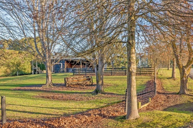 Photo of property in 219 Marshmans Road, Ashley, Rangiora, 7477
