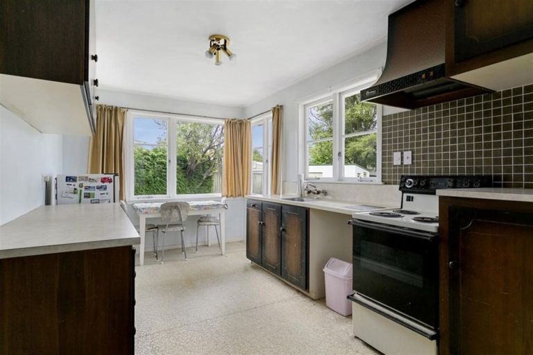 Photo of property in 58 Hinekura Avenue, Taupo, 3330