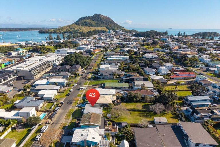 Photo of property in 43 Pitau Road, Mount Maunganui, 3116